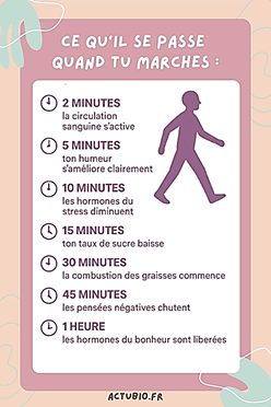 Marche entretien